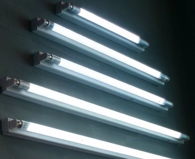tube-lights